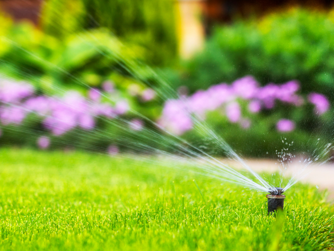 Wir bieten Ihnen Lösungen für Ihr Bewässerungsproblem in ihrem Privatgarten.